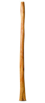 Gloss Finish Didgeridoo (TW1160)